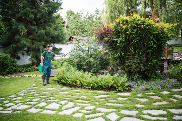 Best Residential Pest Control  in Montrose Ghent, OH