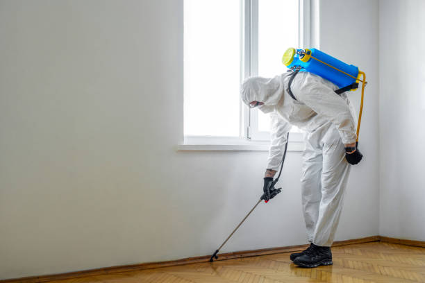 Best Mosquito Control Services  in Montrose Ghent, OH