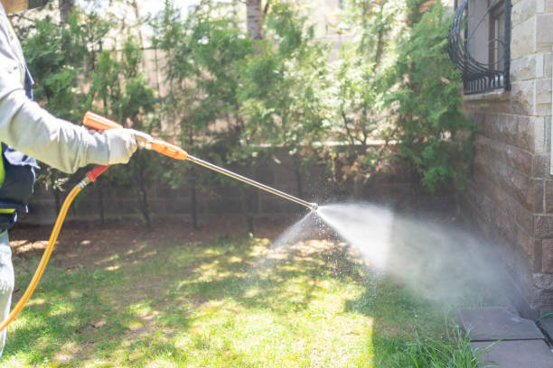 Best Pest Prevention Services  in Montrose Ghent, OH