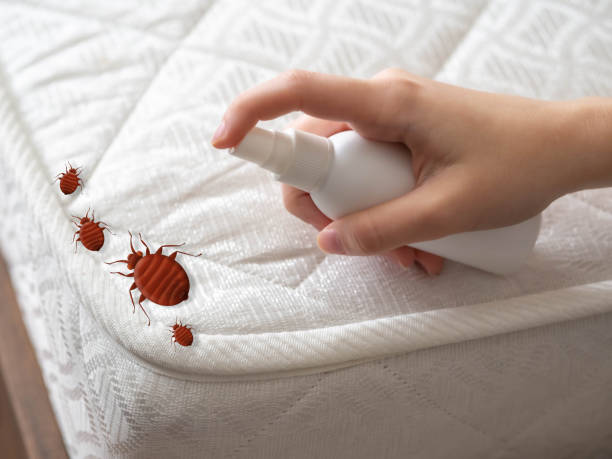 Best Best Pest Control Companies  in Montrose Ghent, OH