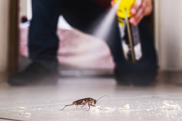 Pest Prevention Services in Montrose Ghent, OH